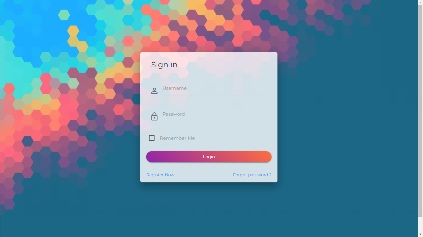 Software project